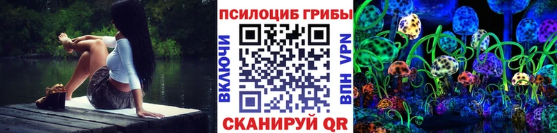 KRAKEN как зайти  Урень  Галлюциногенные грибы мицелий 